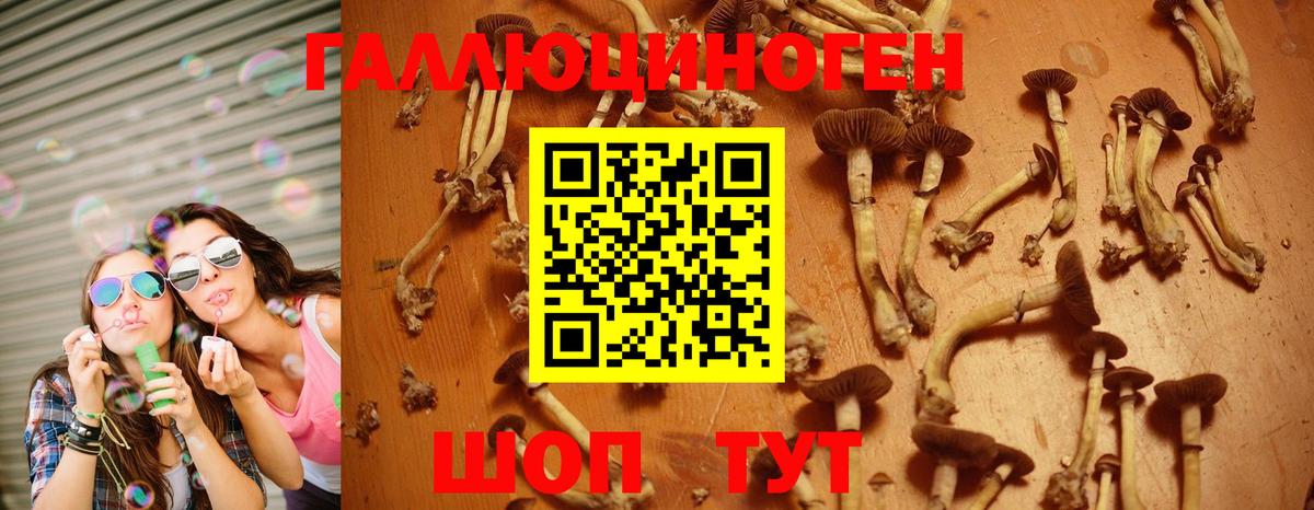 Псилоцибиновые грибы MAGIC MUSHROOMS  Вход с VPN  Верхний Уфалей 