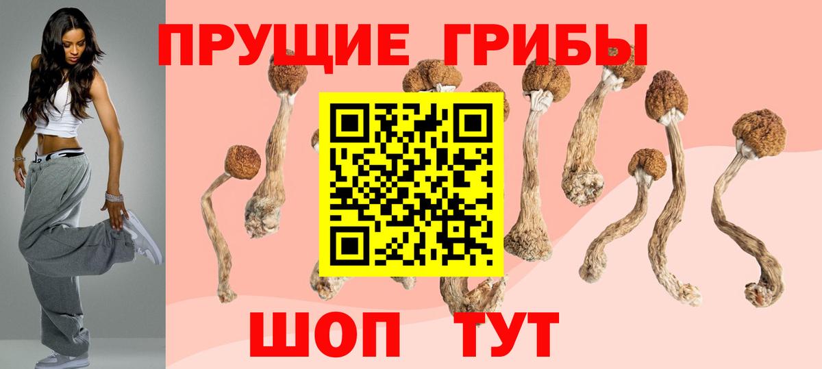Галлюциногенные грибы Psilocybine cubensis Верхний Уфалей